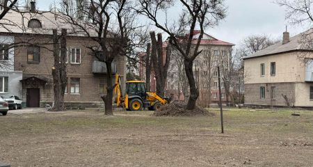 Сміття під вікнами: понад 20 тонн відходів вивезли з дворів двох запорізьких будинків