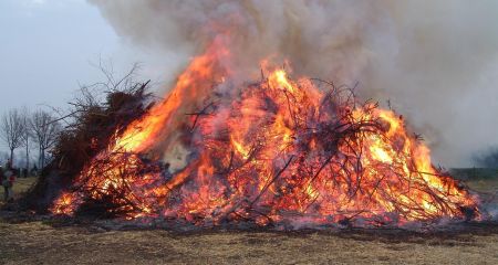 Вогонь знищив близько 12 гектарів екосистем на Запоріжжі за добу