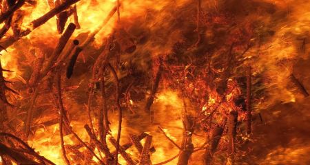 Постройки и лесополоса горели на Запорожье после обстрелов