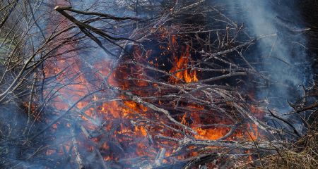 Жара и обстрелы вызвали 13 пожаров в Запорожской области