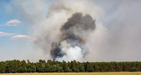 Пожар уничтожил 2,5 га открытой территории в Запорожском районе