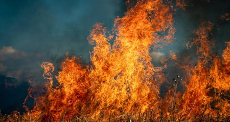 Масштабну пожежу приборкали рятувальники в одному з районів Запоріжжя