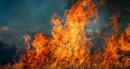 Понад 22 гектари екосистем вигоріли на Запоріжжі за один день