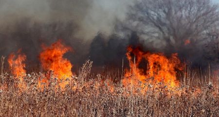 Запоріжців попереджають про високу пожежну небезпеку