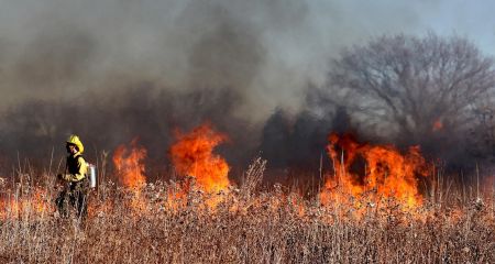 Два десятки пожеж в екосистемах загасили запорізькі рятувальники