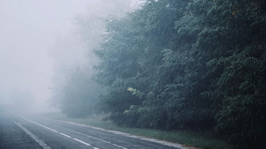 Запорізьких водіїв попереджають про густий туман