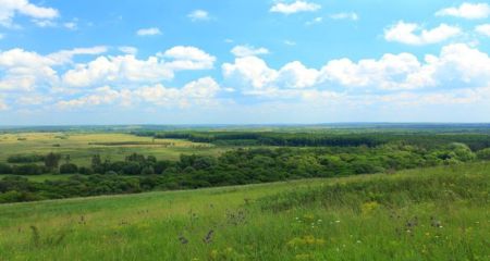 Екоцид на Запоріжжі: збитки заповідному фонду від війни перевищили 1,7 млрд грн