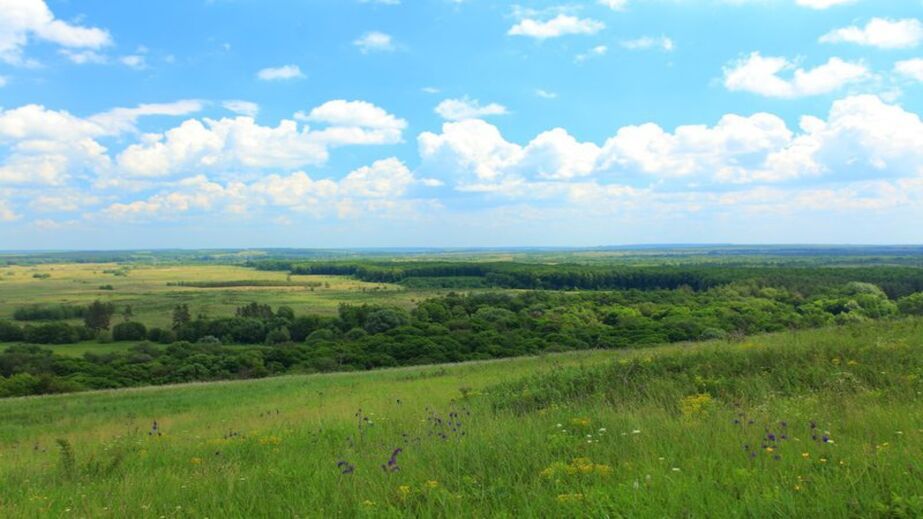 Экоцид на Запорожье: ущерб заповедному фонду от войны превысил 1,7 млрд грн