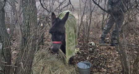 Просять їжу та пальне: проблеми з постачанням виникли в окупантів на Запоріжжі
