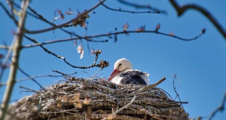 Україна виграла битву за зиму