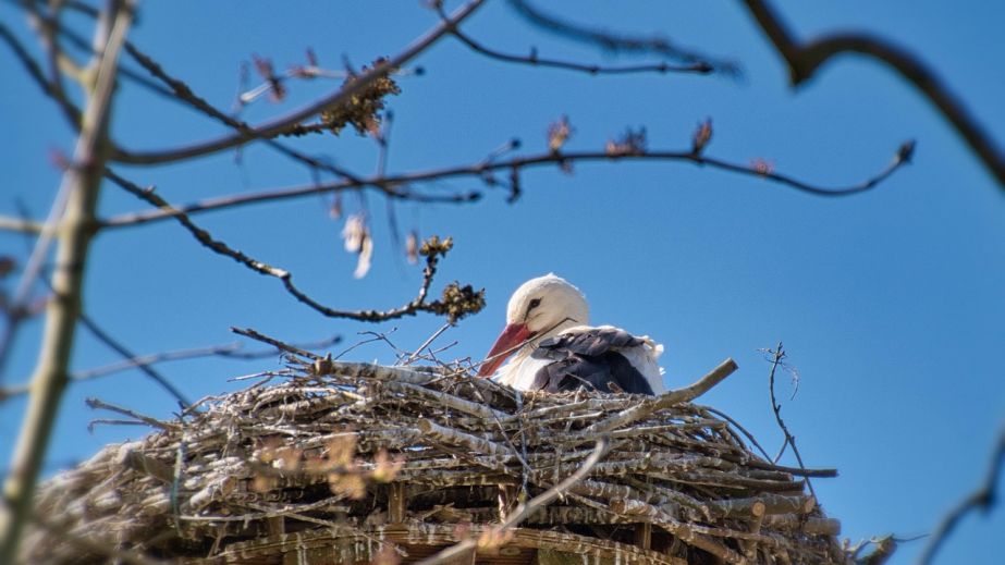 Україна виграла битву за зиму