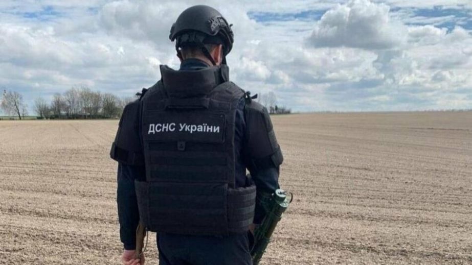 Минометную мину, артснаряд и 89 суббоеприпасов уничтожили саперы на Запорожье