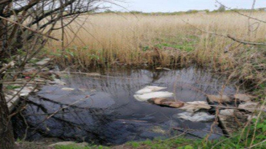 Убил троих людей и расчленил тела: жителя Запорожья приговорили к пожизненному