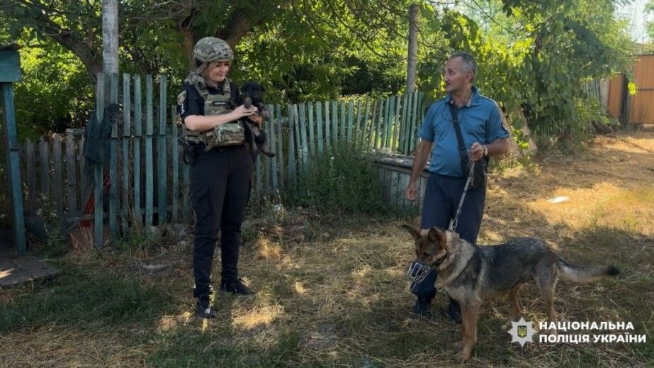 Из прифронтовых сел Запорожской области идет эвакуация людей &ndash; видео