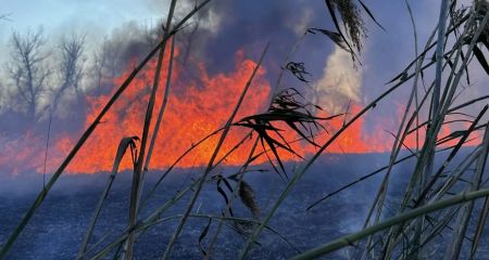 Более 15 гектаров экосистем выгорели на Запорожье