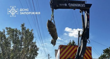 Російський КАБ і гранату знищили запорізькі сапери