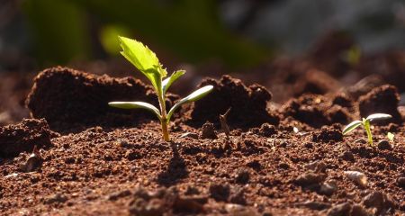 Запорізькі компанії сплатили 31,2 млн грн за користування ресурсами