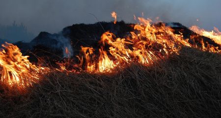 Через займання трави мало не спалахнули будинки в Запорізькому районі