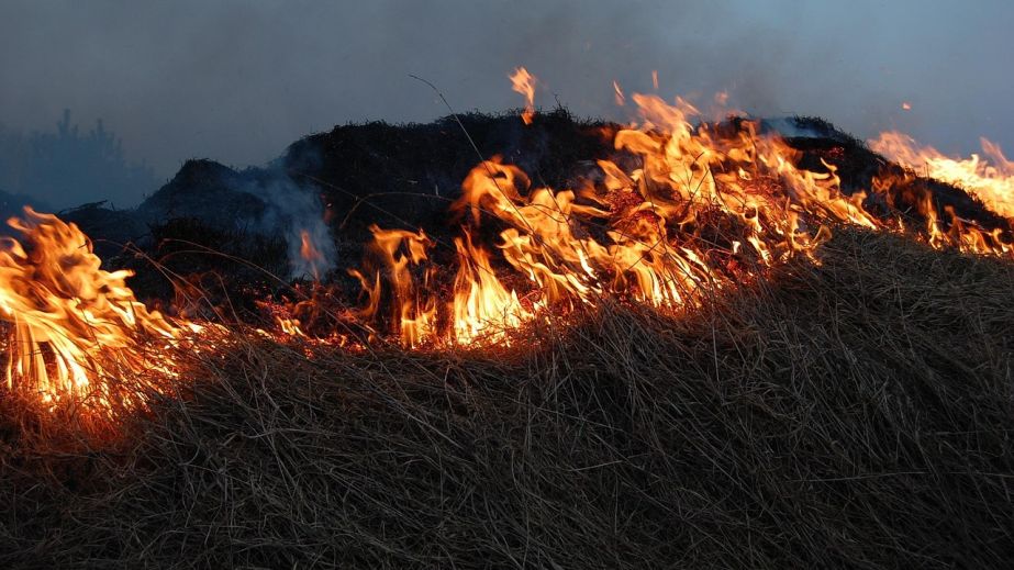 Через займання трави мало не спалахнули будинки в Запорізькому районі