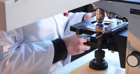 Болезнь Лайма зафиксировали в Запорожье: медики рассказали детали