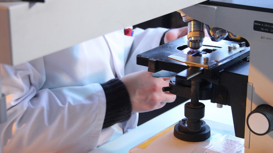 Хворобу Лайма зафіксували в Запоріжжі: медики розповіли деталі