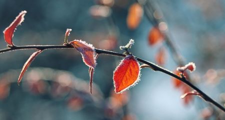 До 3°C вночі: синоптики попередили про суттєве похолодання на Запоріжжі