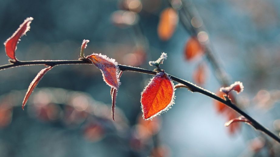 До 3°C вночі: синоптики попередили про суттєве похолодання на Запоріжжі