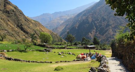 Понад тисячу запорізьких дітей оздоровили в "Артеку" та за кордоном &ndash; деталі