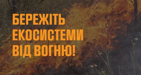 Понад 2 га відкритих територій горіло в Запоріжжі та районі