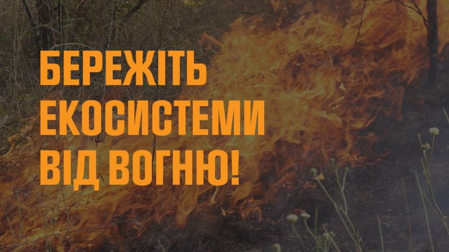 Понад 2 га відкритих територій горіло в Запоріжжі та районі