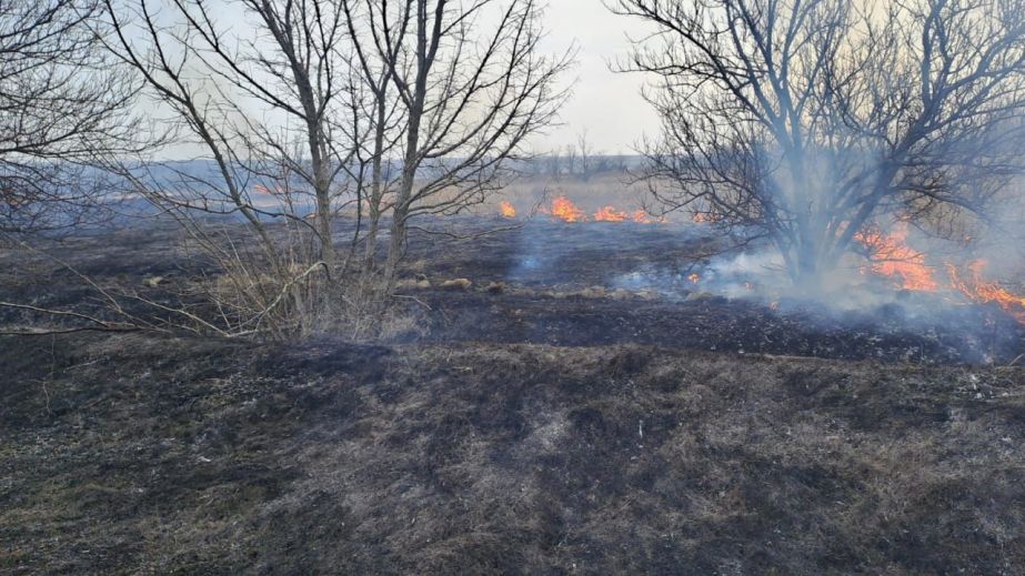 Майже 4 га за добу: як вогонь знищує екосистеми Запоріжжя, показали рятувальники