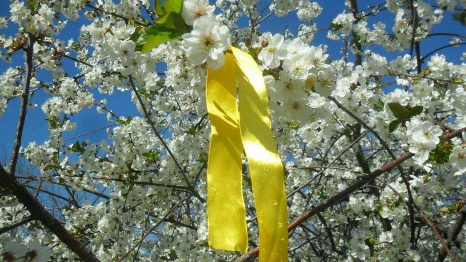 Українське підпілля провело акцію в черешневих садах Мелітополя