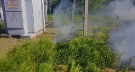 Горіло біля трансформатора: у Кушугумі на Запоріжжі гасили пожежу в екосистемі