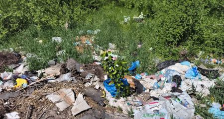 Три свалки обнаружили экологи вблизи трассы и двух сел на Запорожье