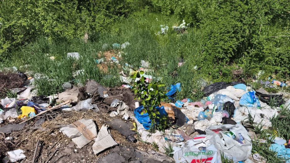 Три сміттєзвалища виявили екологи поблизу траси та двох сіл на Запоріжжі