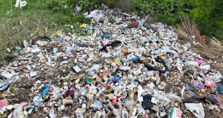 Очередную свалку обнаружили инспекторы в Запорожье