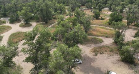 20 гектаров растительности сгорели на Запорожье в июне