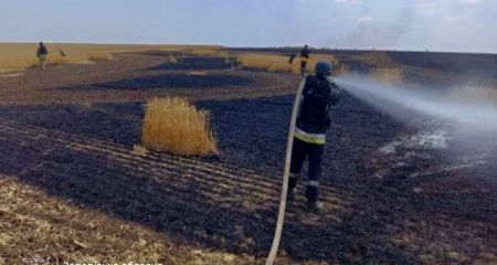 Поле пшеницы вспыхнуло из-за вражеского обстрела на Запорожье