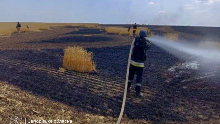 Поле пшеницы вспыхнуло из-за вражеского обстрела на Запорожье