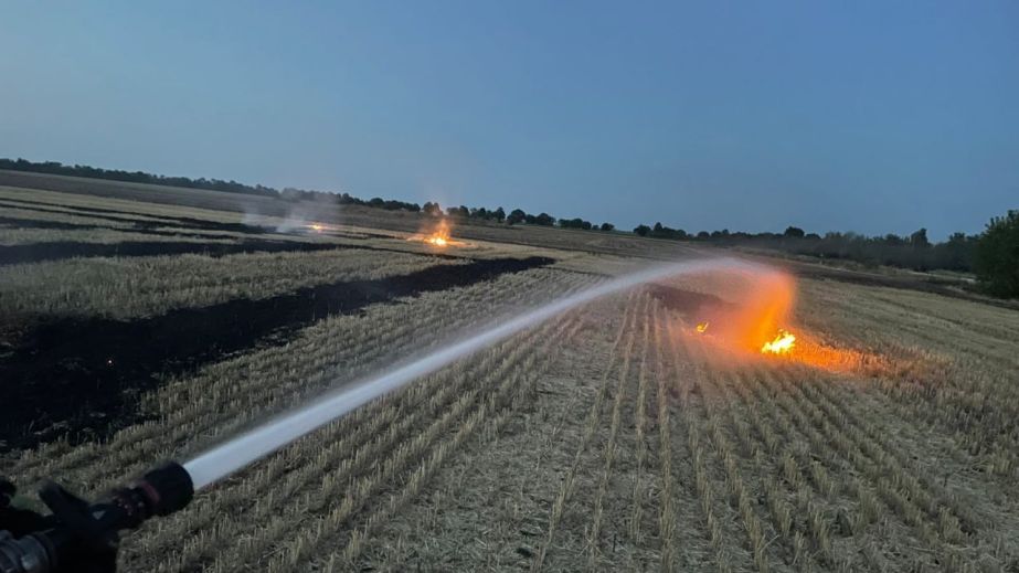 Пожежі знищили понад 13 гектарів рослинності на Запоріжжі