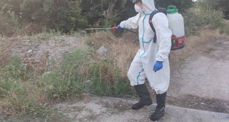 Нашестя сарани: ситуація на Запоріжжі залишається контрольованою