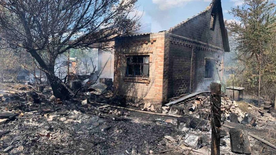 Горели дачи, авто и экосистемы: на Запорожье произошла серия пожаров