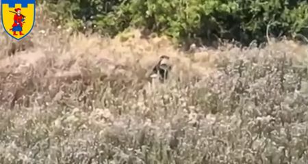 Окупанта зупинила "плутанка", а добив український дрон – кадри від ЗСУ