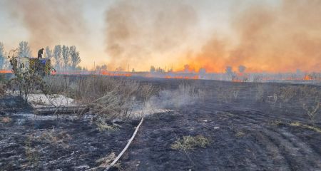 Мисливські угіддя горіли після артобстрілу в Запорізькому районі