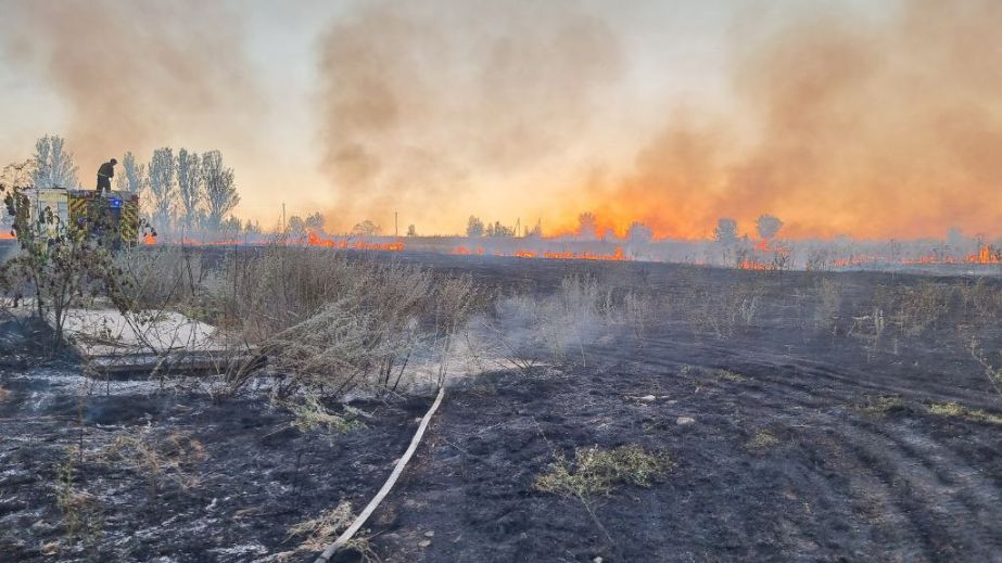 Мисливські угіддя горіли після артобстрілу в Запорізькому районі
