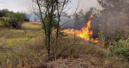 У Запорізькому районі вирувала потужна пожежа на відкритій території – кадри