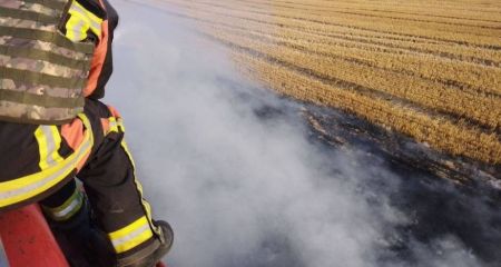Спасатели ликвидировали 18 пожаров в экосистемах на Запорожье