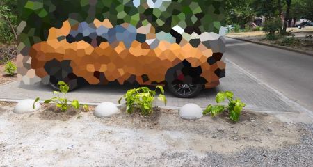 Власна автостоянка обернулася для жителя Запоріжжя штрафом