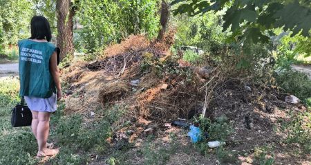 Звалище під вікнами: запорізькі екологи виявили сміття у дворі будинку