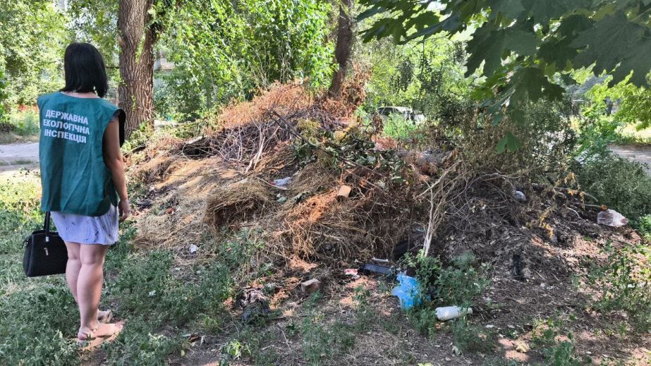 Звалище під вікнами: запорізькі екологи виявили сміття у дворі будинку